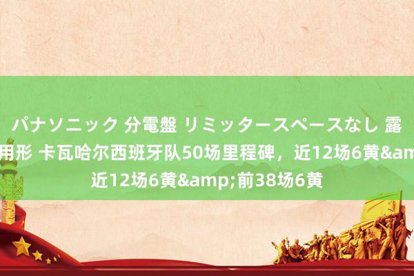 パナソニック 分電盤 リミッタースペースなし 露出・半埋込両用形 卡瓦哈尔西班牙队50场里程碑，近12场6黄&前38场6黄