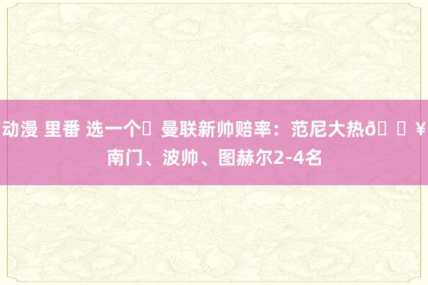 动漫 里番 选一个❓曼联新帅赔率：范尼大热🔥南门、波帅、图赫尔2-4名
