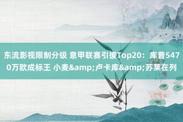 东流影视限制分级 意甲联赛引援Top20：库普5470万欧成标王 小麦&卢卡库&苏莱在列