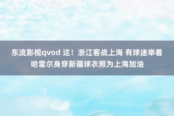 东流影视qvod 这！浙江客战上海 有球迷举着哈雷尔身穿新疆球衣照为上海加油