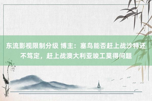 东流影视限制分级 博主：塞鸟能否赶上战沙特还不笃定，赶上战澳大利亚竣工莫得问题